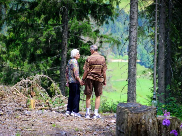 Parc daventures en famille Pillersee